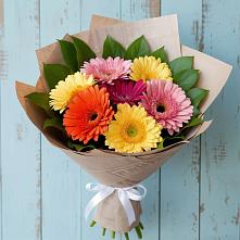 Букет цветов из:  Герберы #REPLACE_PRED# Курлово
