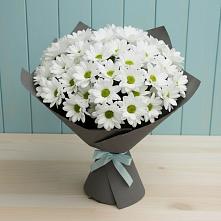 Букет цветов из:  Хризантемы в Курлово