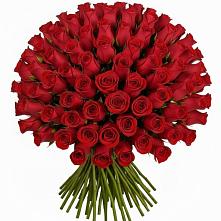 Букет Красные розы Чери Лав в Курлово